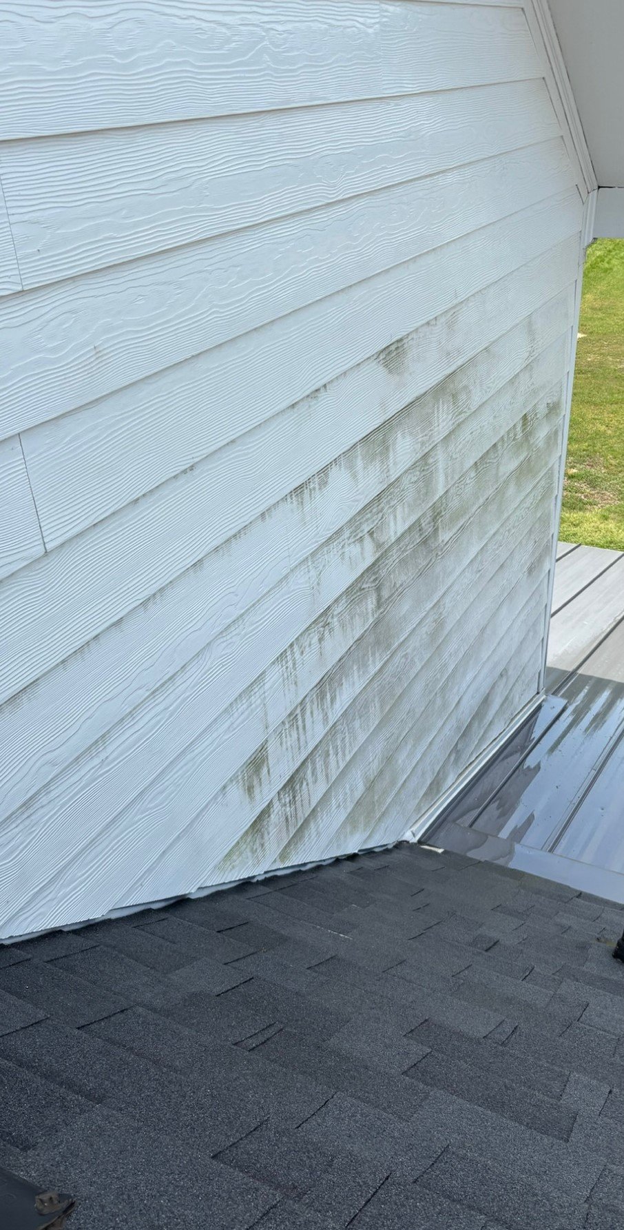 Before soft washing - house siding with mold