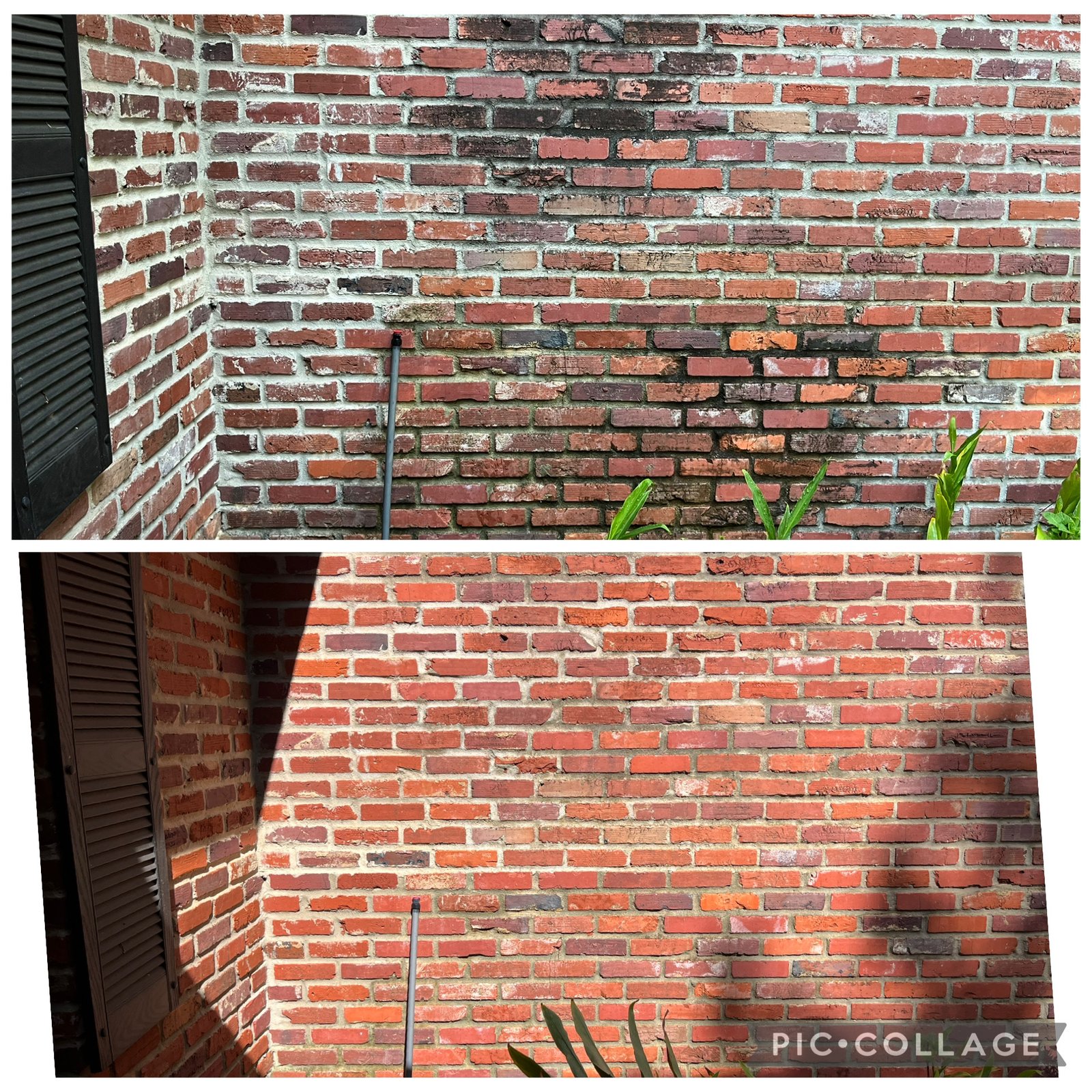 Before and after brick wall pressure washing residential - Presidential Services