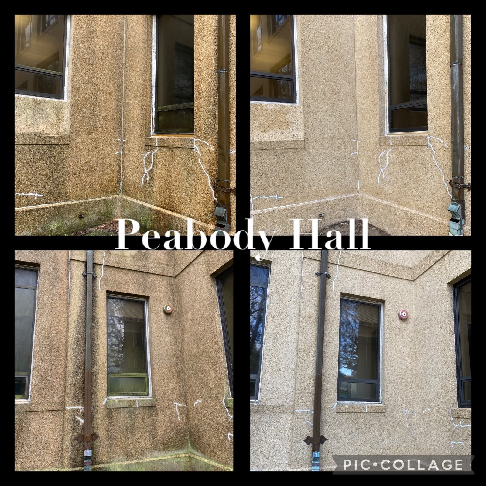 Peabody Hall soft wash before and after results - Presidential Services LA